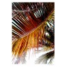 Brickell Palms