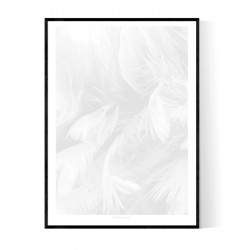 Abstract Grey Feathers