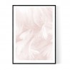 Abstract Pink Feathers